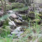 San Antonio De Garabandal *
