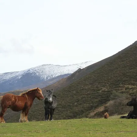 San Antonio De Garabandal *