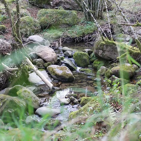 San Antonio De Garabandal *