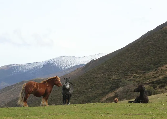 San Antonio De Garabandal *